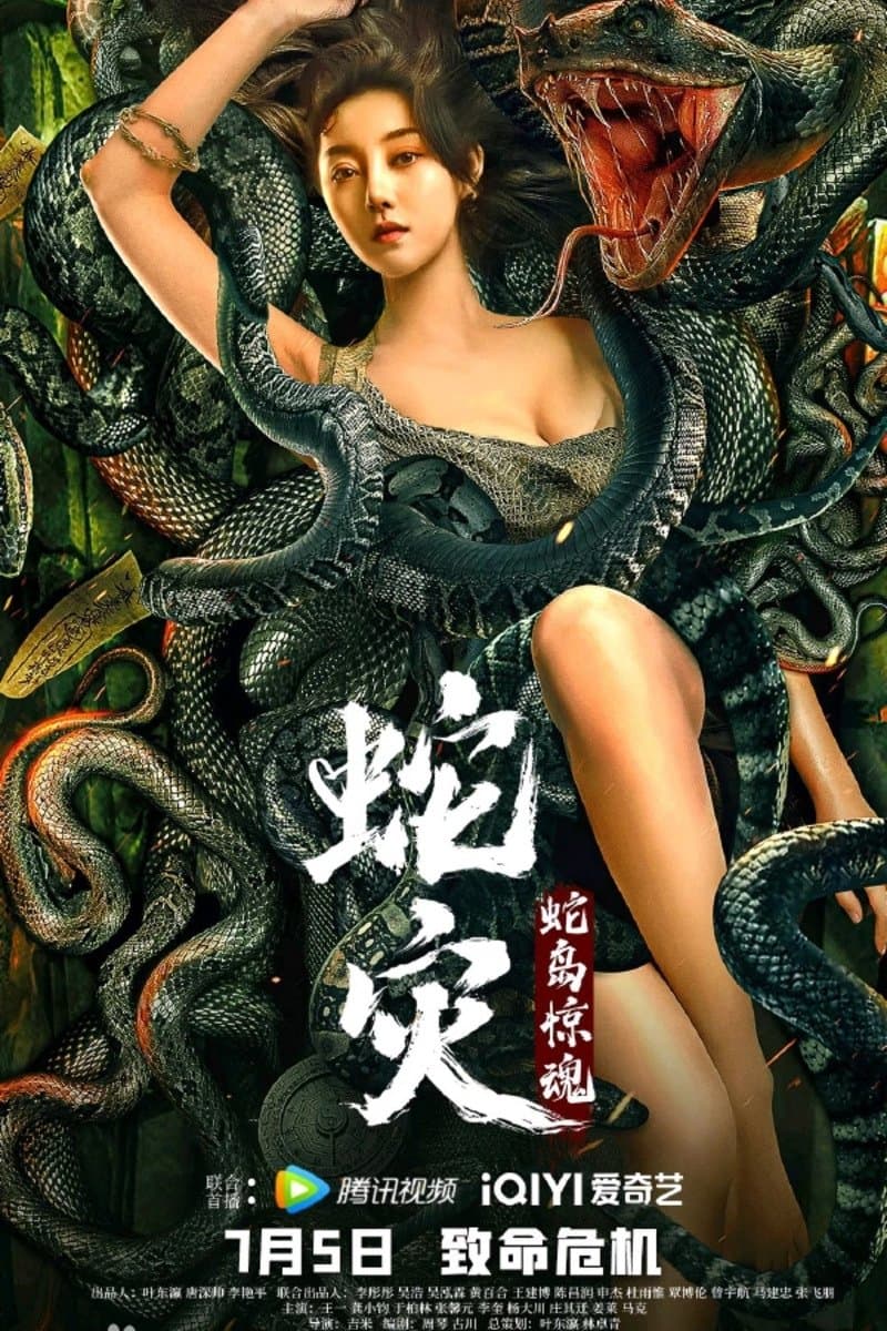 Snake Lady poster
