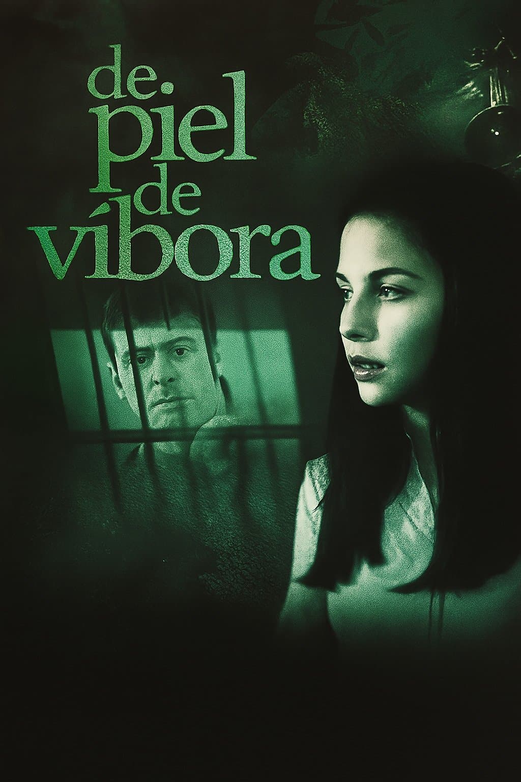 Snake Skin poster