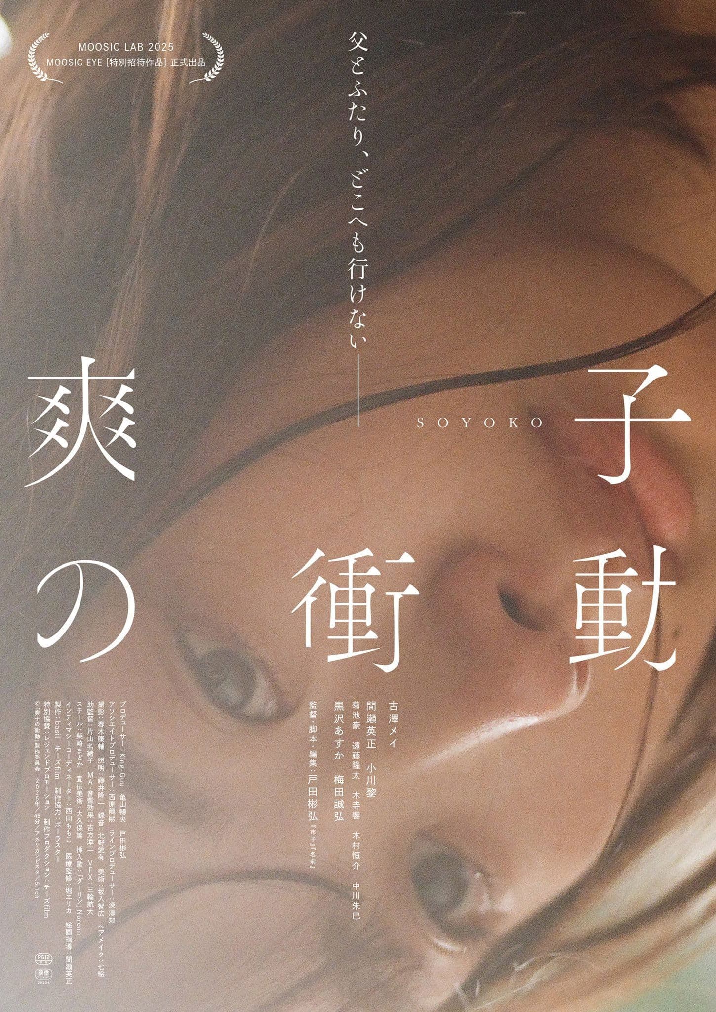 Soyoko poster