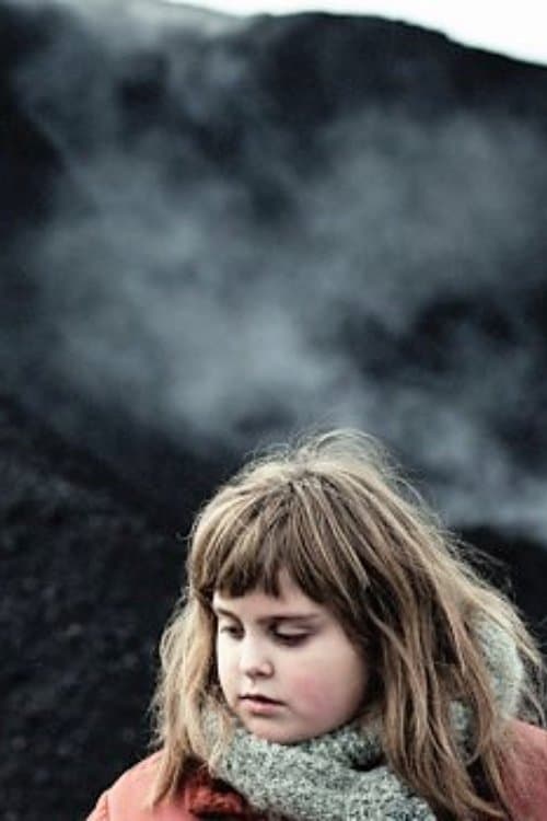 Stray poster