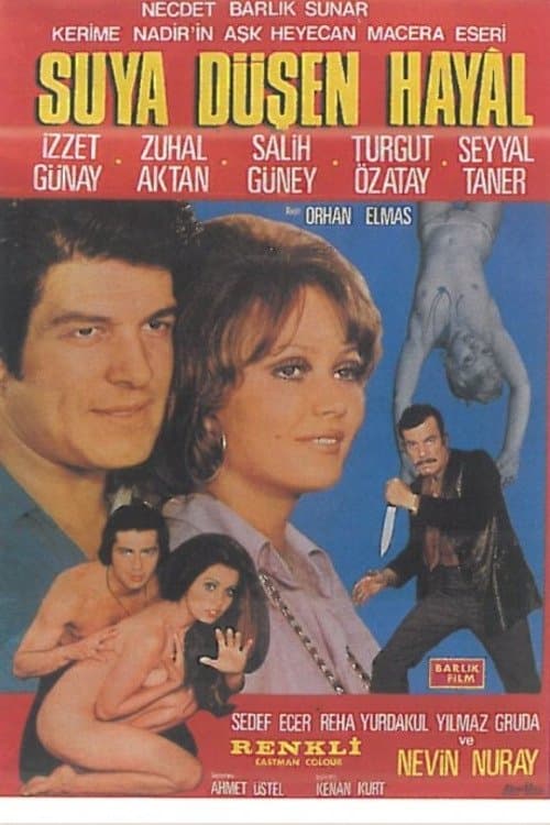 Suya Düşen Hayal poster