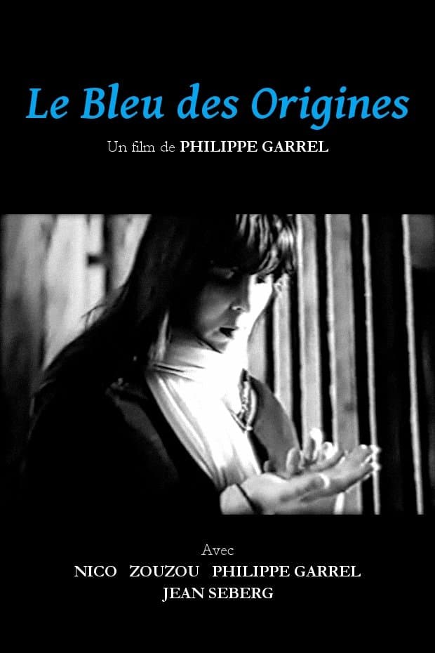 The Blue of the Origins poster