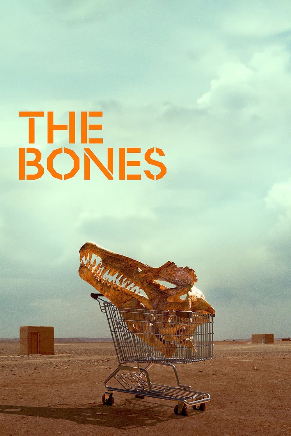 The Bones poster