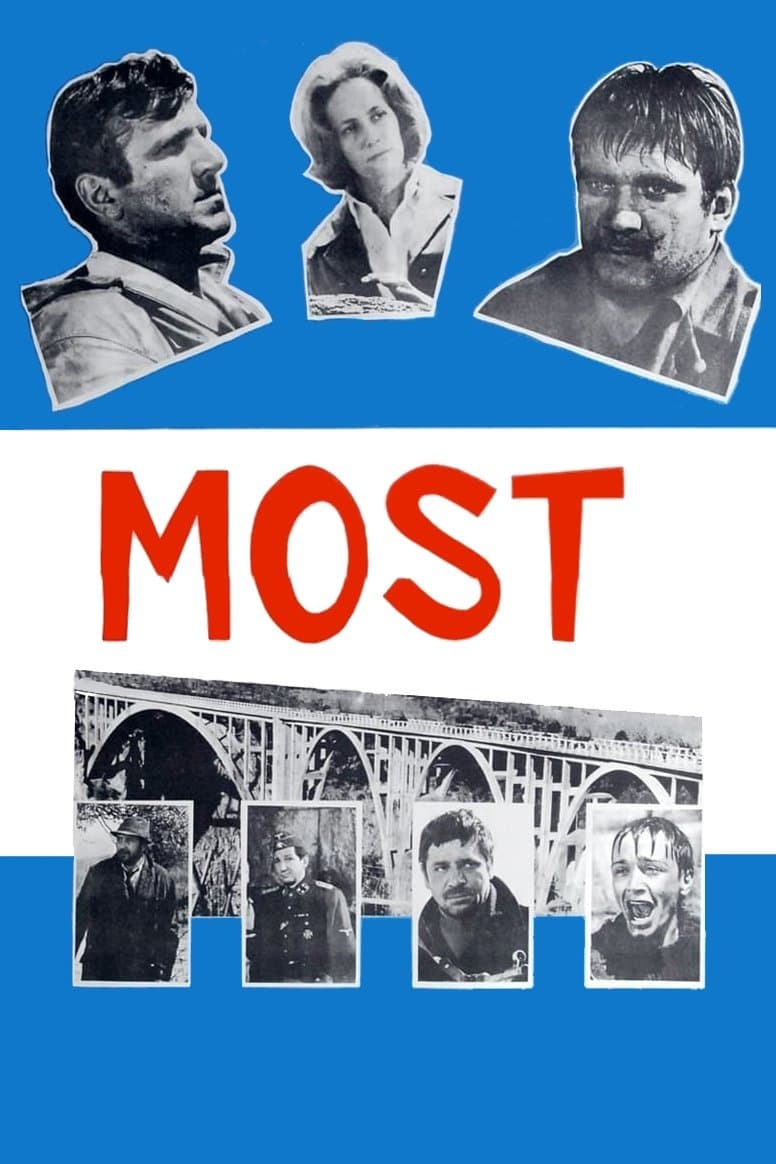 The Bridge poster