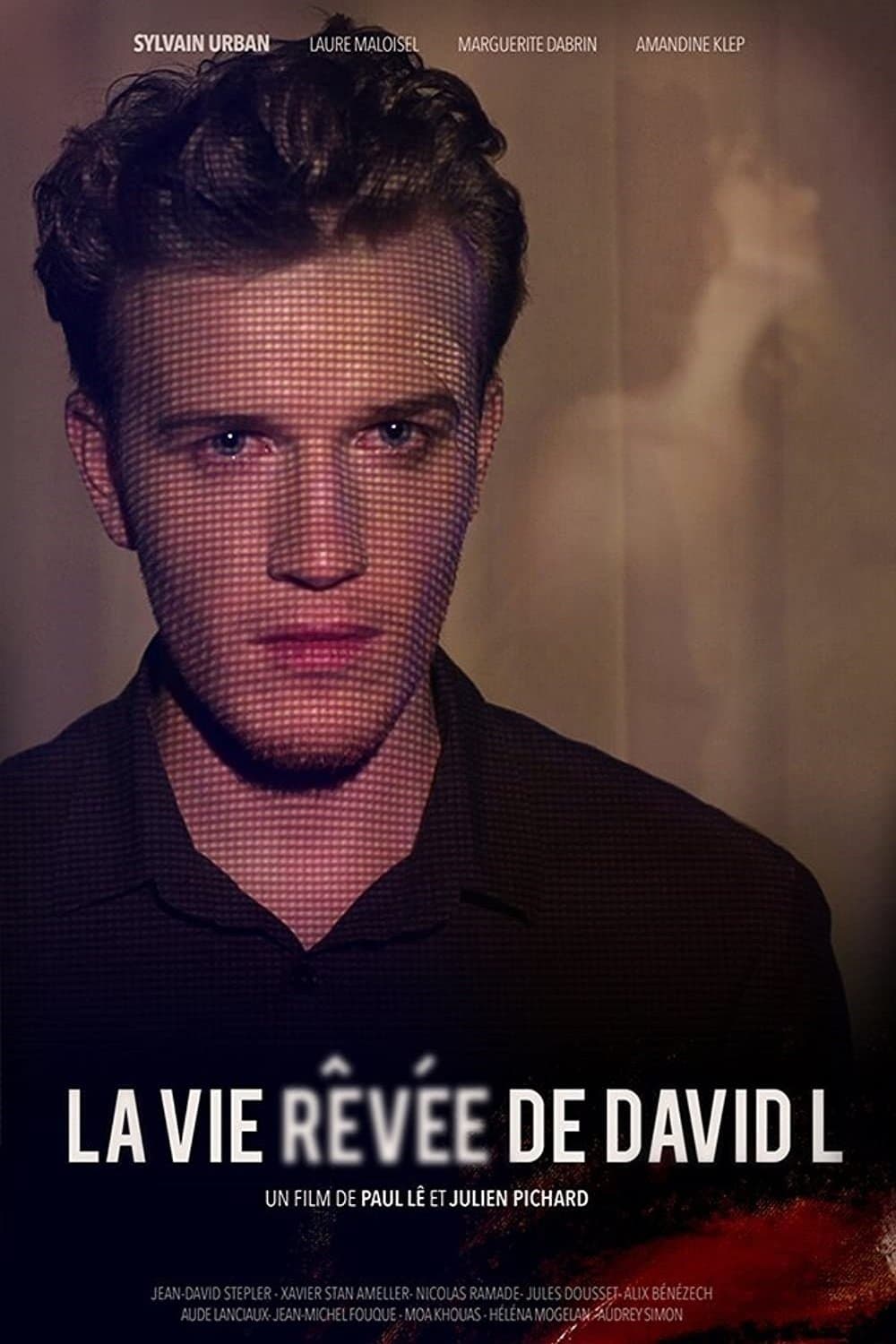 The Dreamlife of David L poster