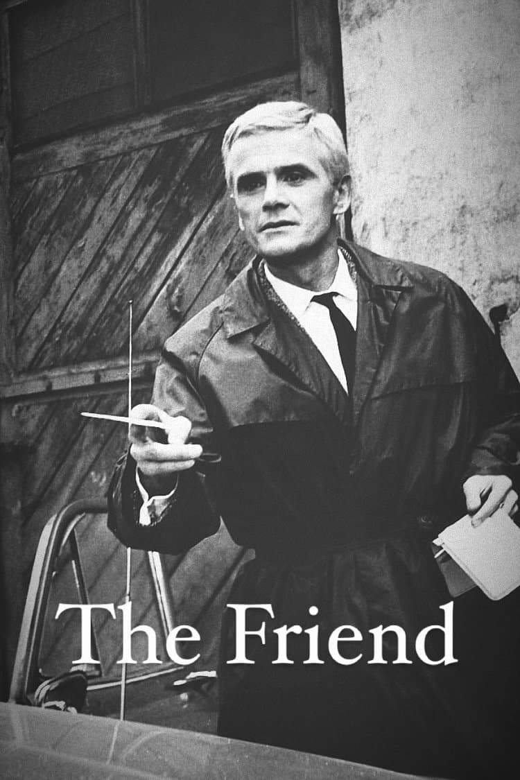 The Friend poster