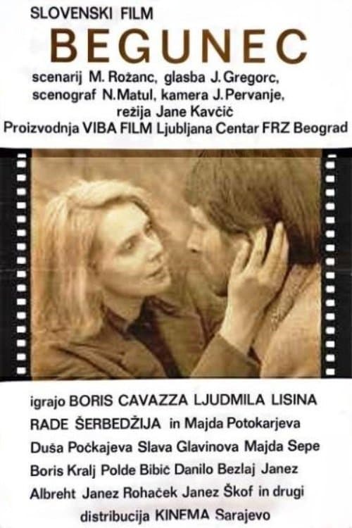 The Fugitive poster
