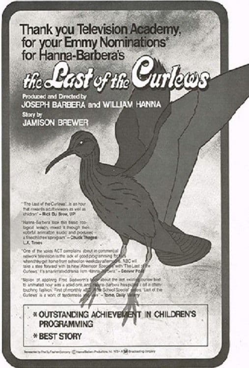 The Last of the Curlews poster