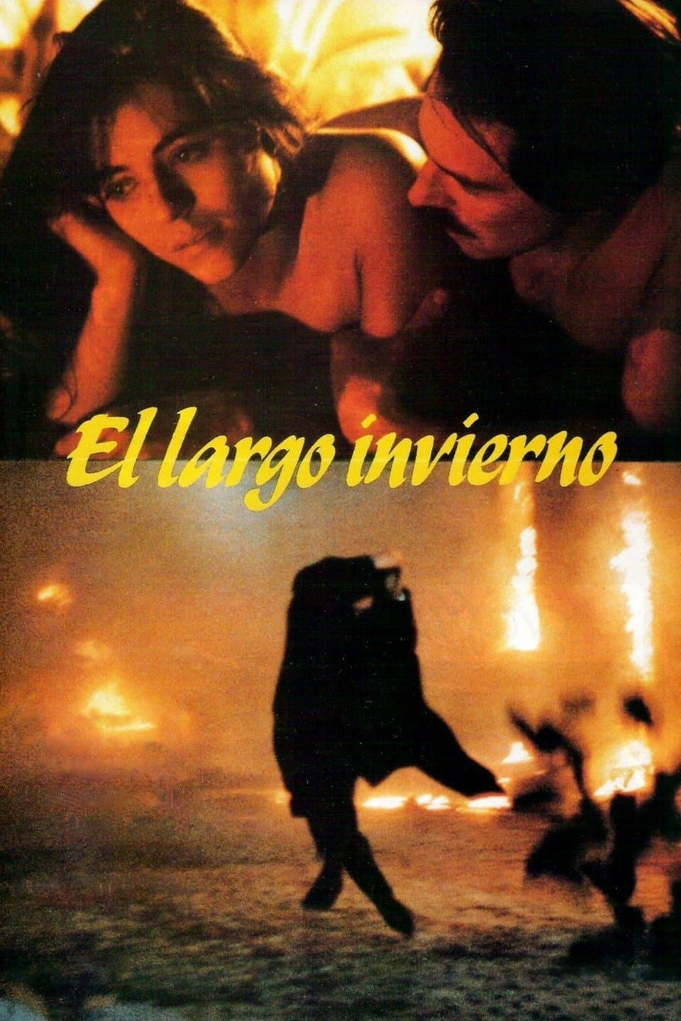 The Long Winter poster