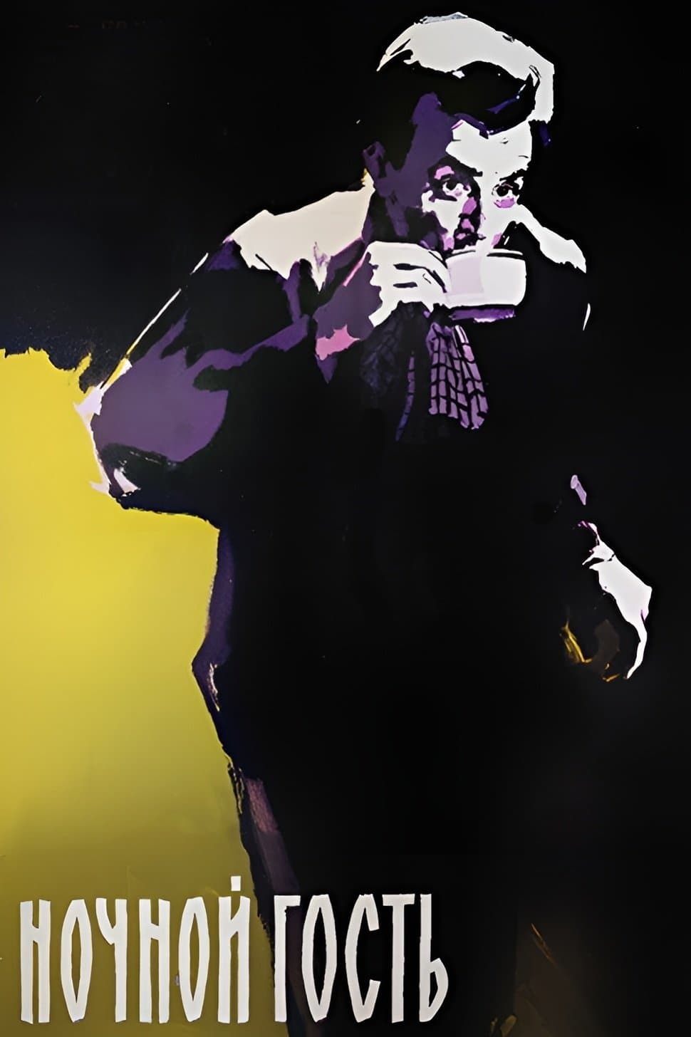 The Night Guest poster