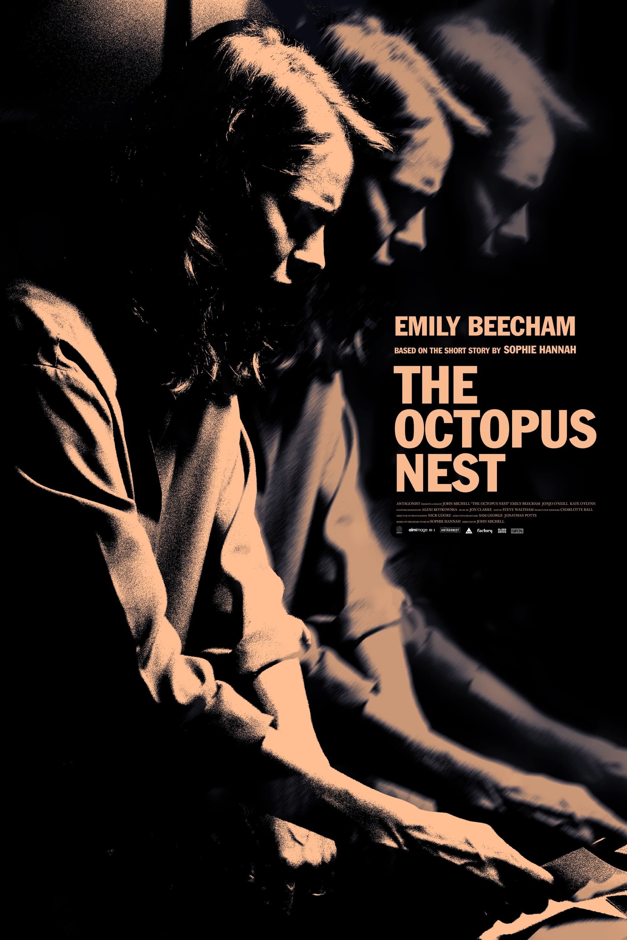The Octopus Nest poster