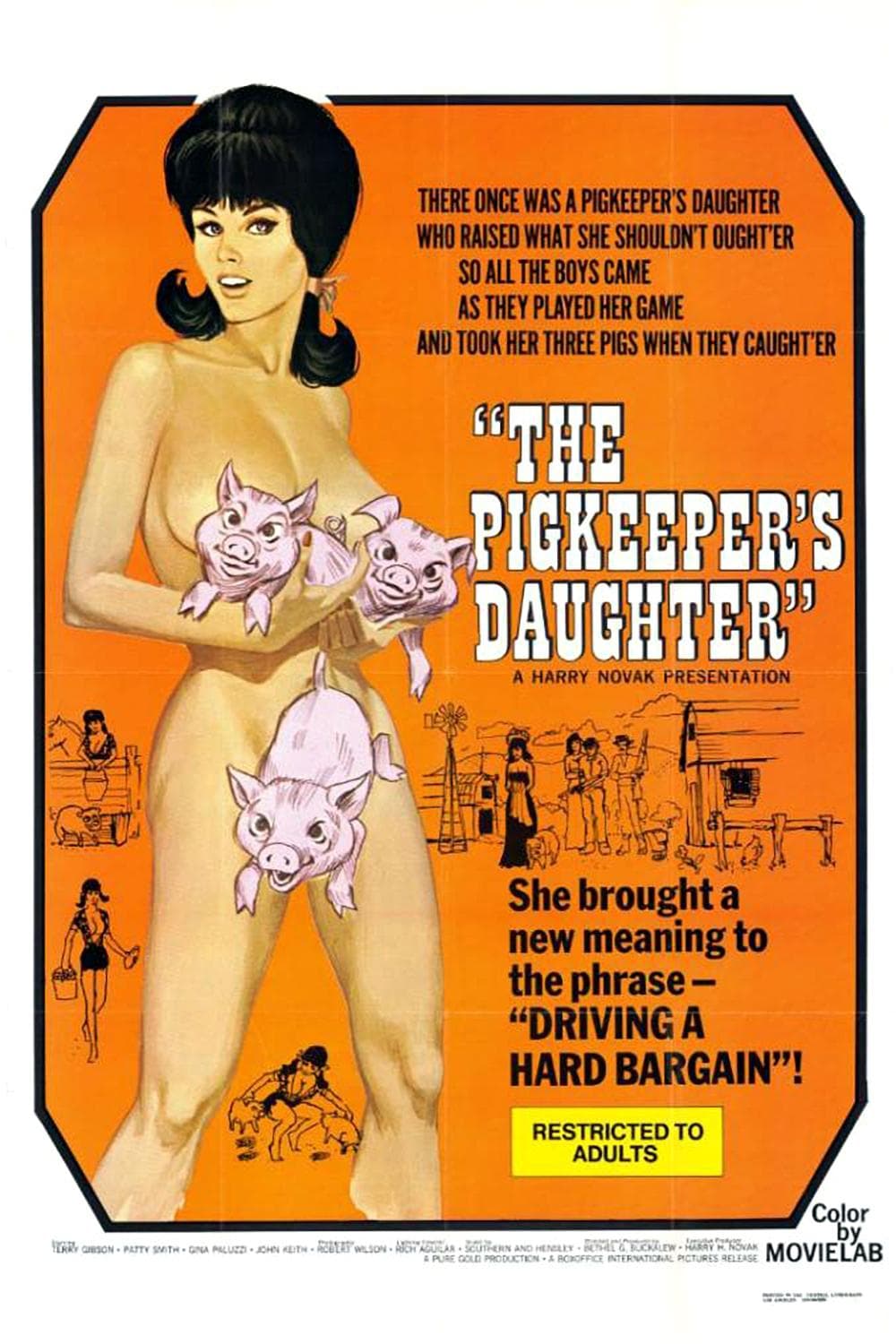 The Pig Keeper's Daughter poster