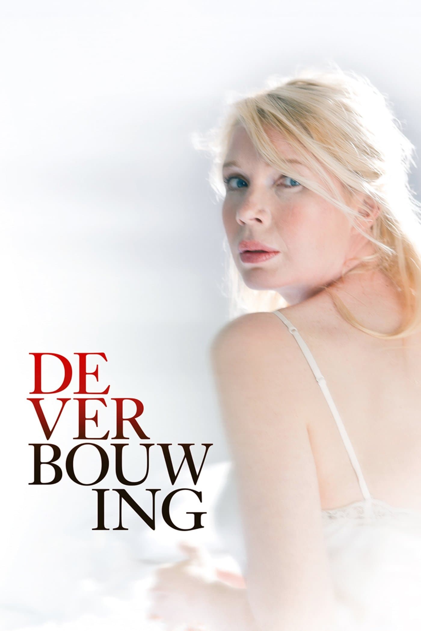 The Renovation poster