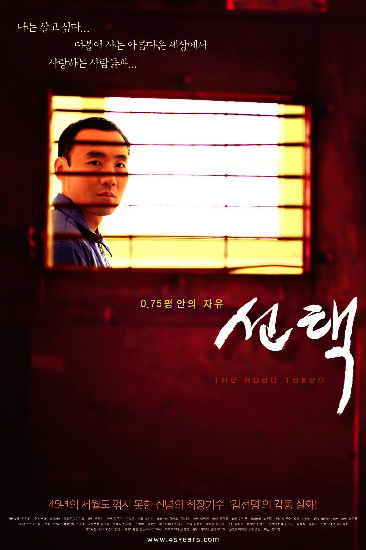The Road Taken poster