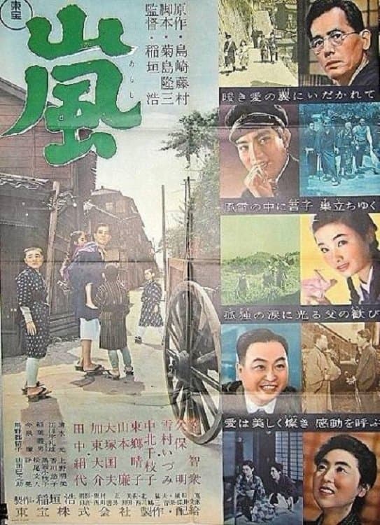 The Storm poster