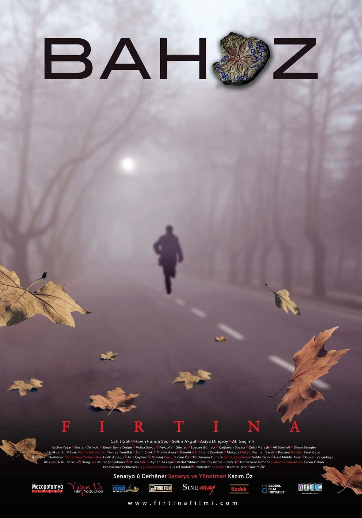 The Storm poster