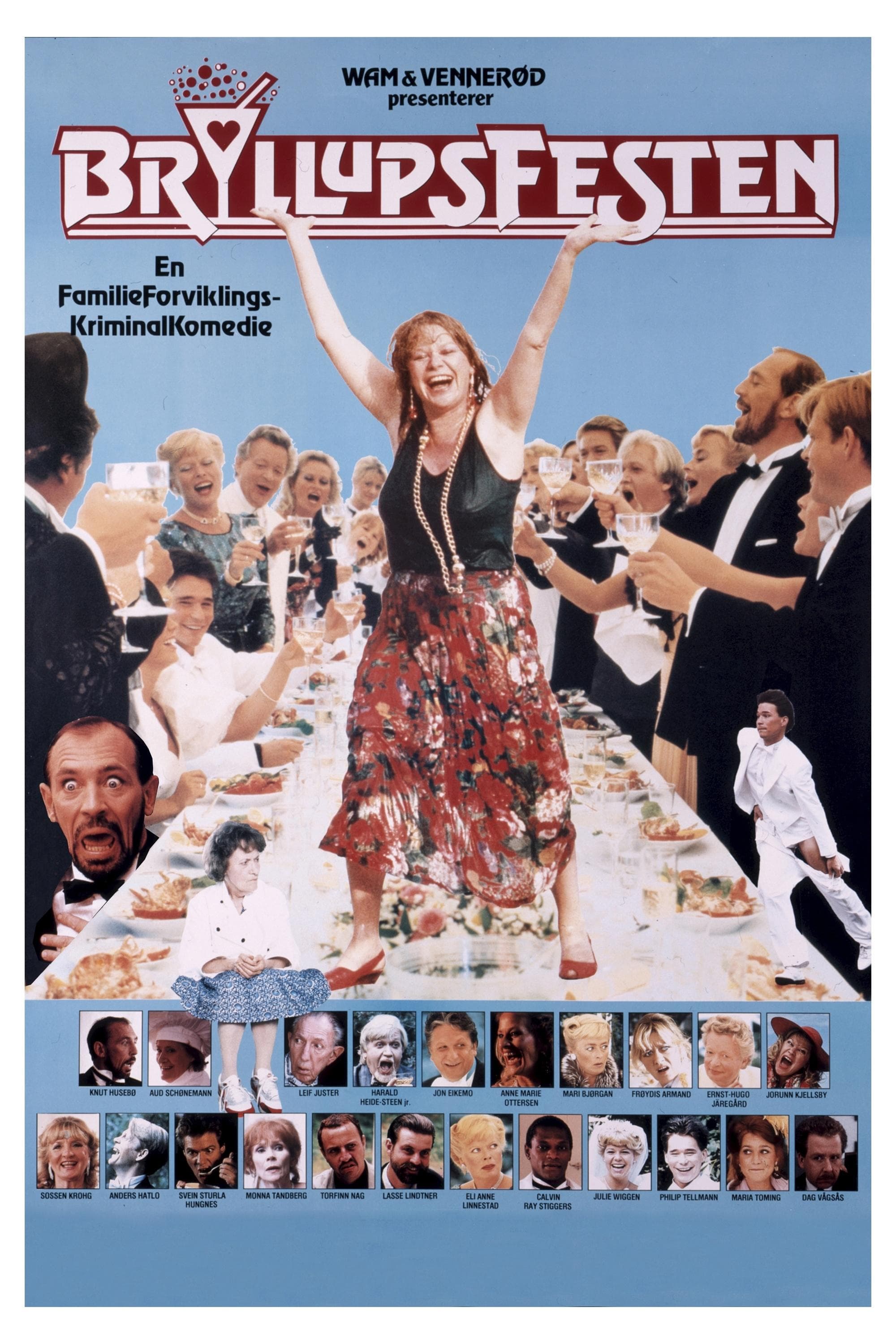 The Wedding Party poster