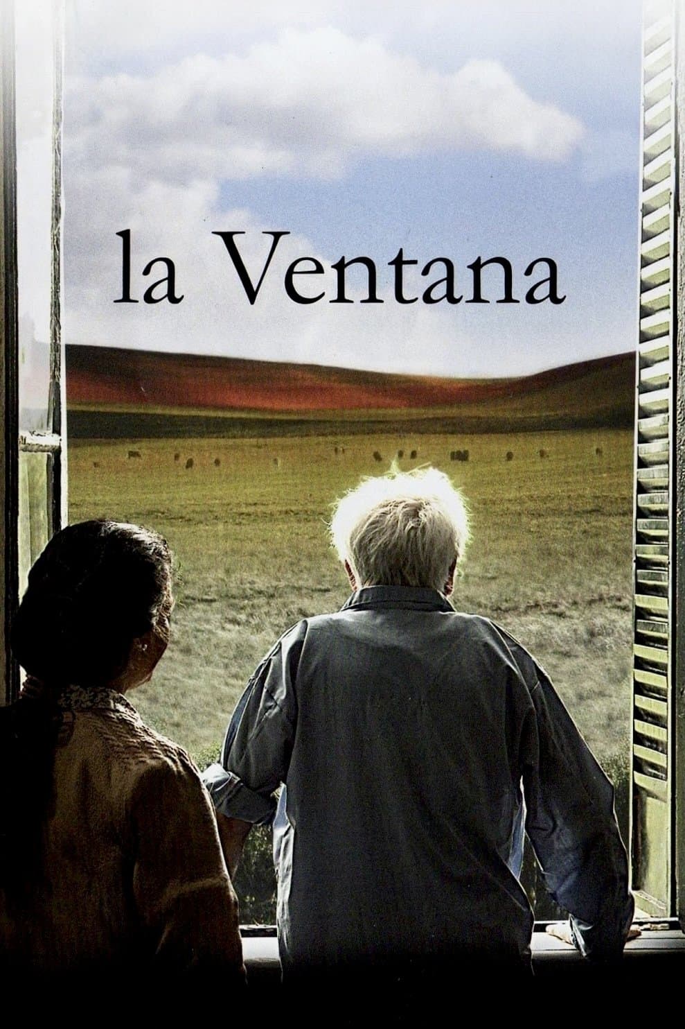 The Window poster
