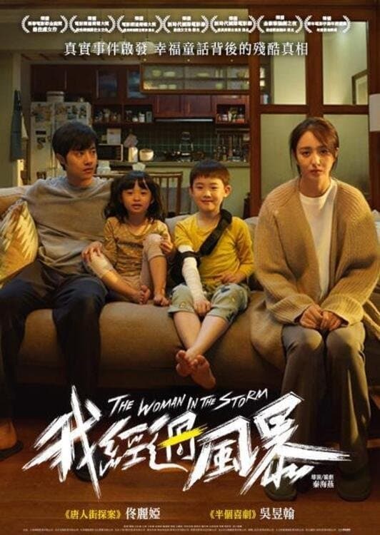 The Woman in the Storm poster