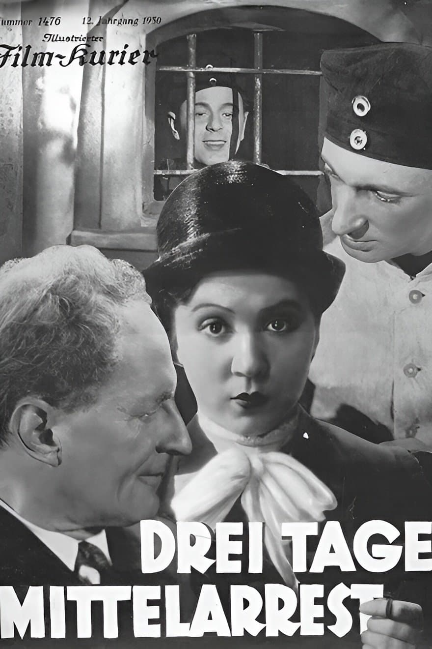 Three Days in the Guardhouse poster