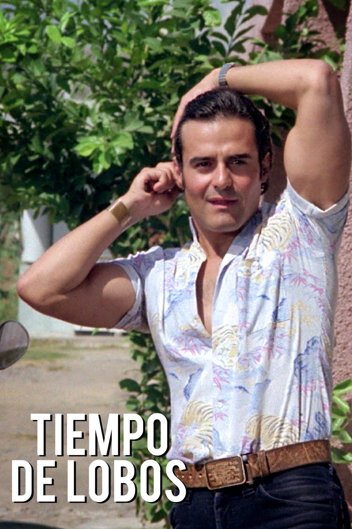 Tiempo de lobos poster