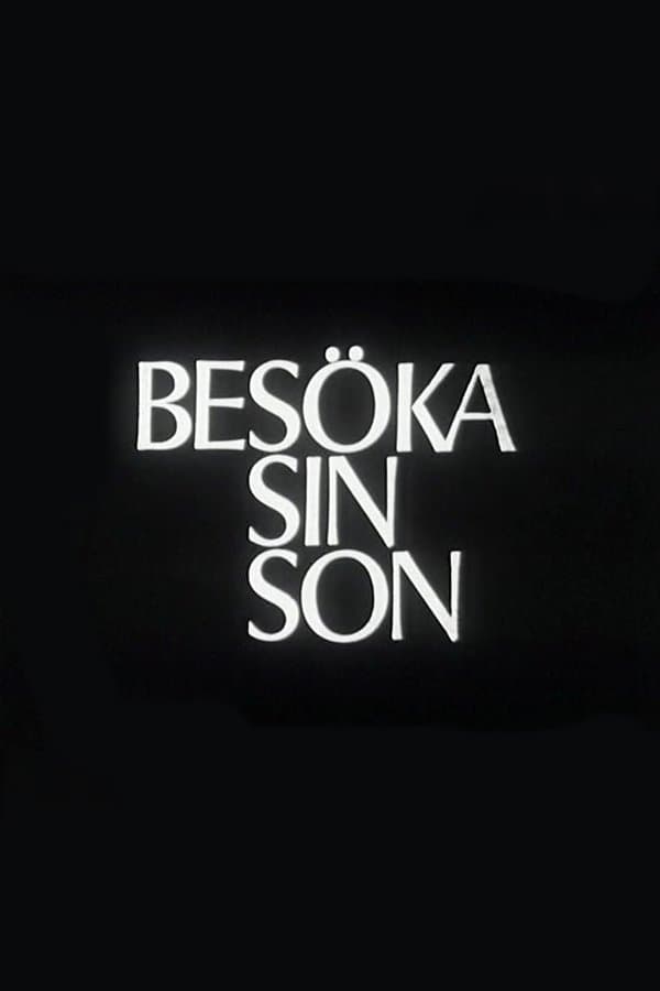 Visiting One's Son poster