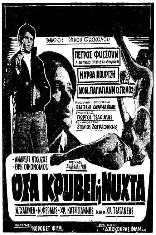 What the Night Hides poster