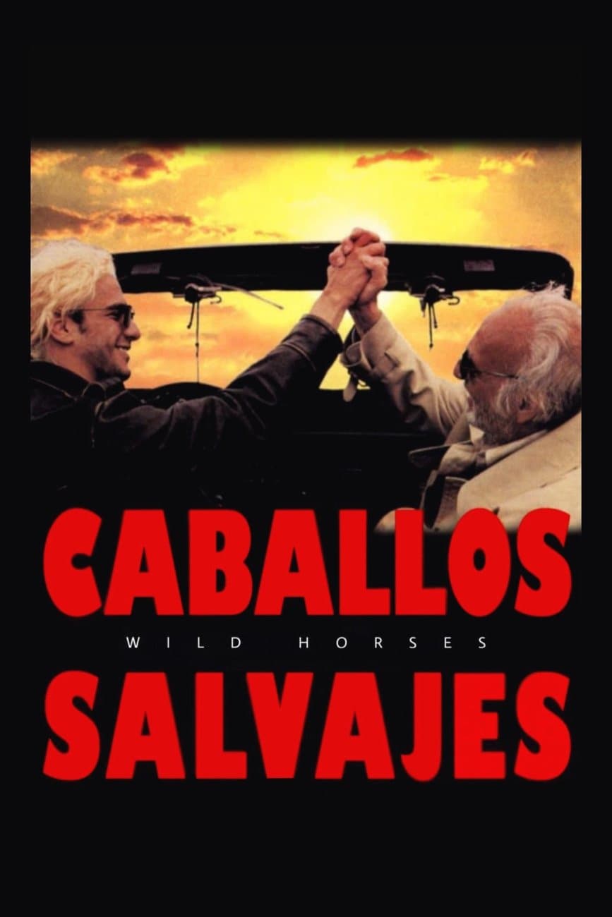 Wild Horses poster