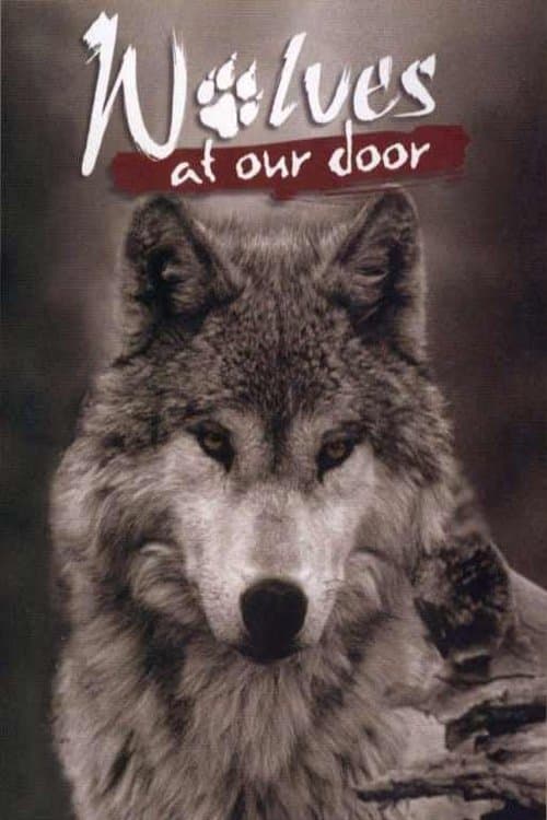 Wolves at Our Door poster