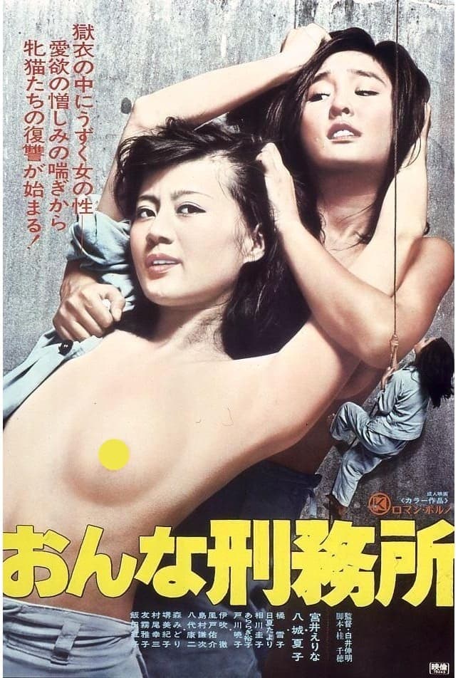 Women in Prison poster