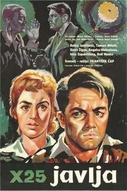 X-25 Reports poster