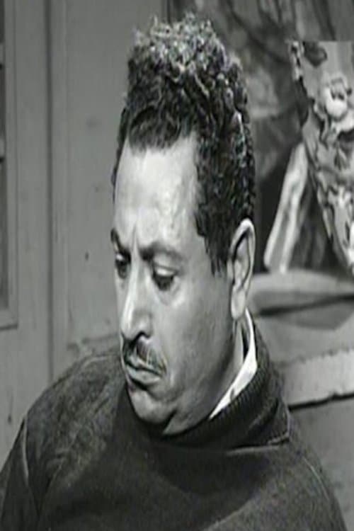 Ali ElMoaawen photo