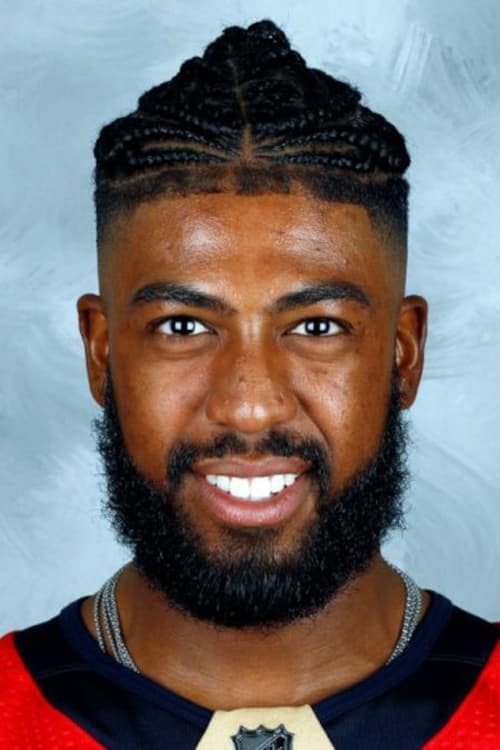 Anthony Duclair photo