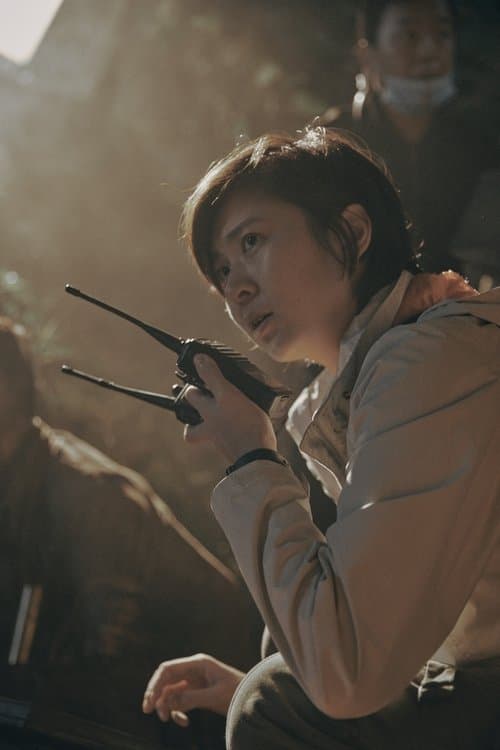 A portrait of Cai Jing