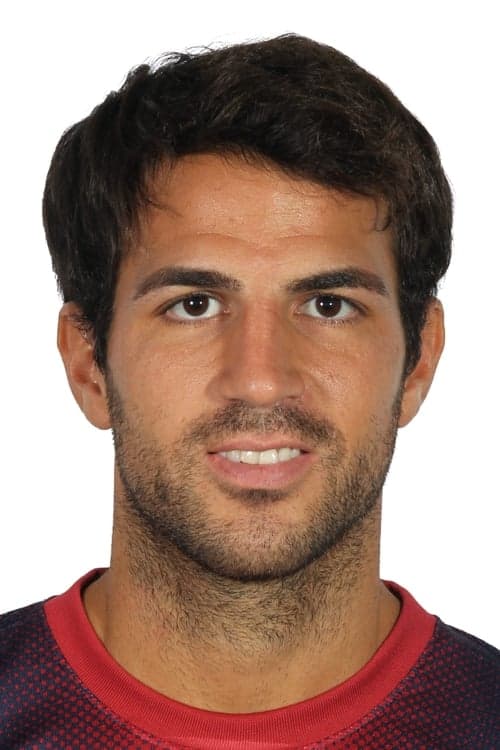 Cesc Fàbregas photo