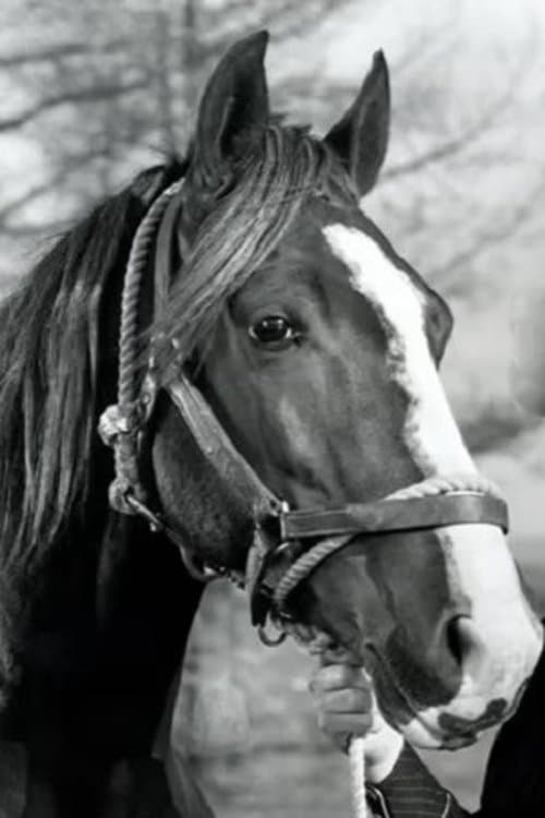 Champion Jr. photo