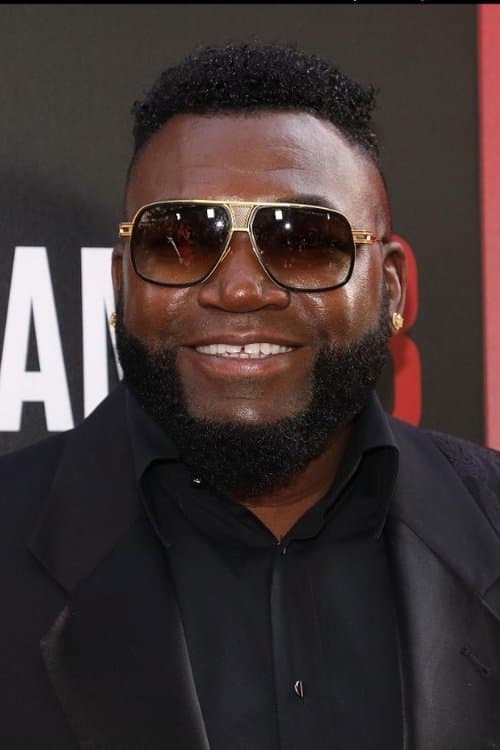 David Ortiz photo
