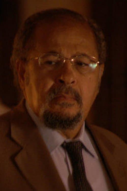 Hanaa Abdel Fattah photo