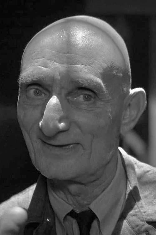 Harry Bugin photo