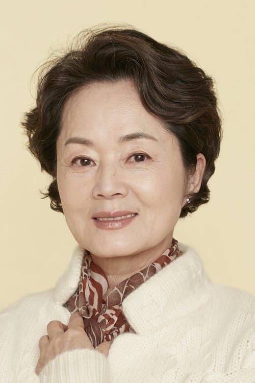 Kim Young-ae photo