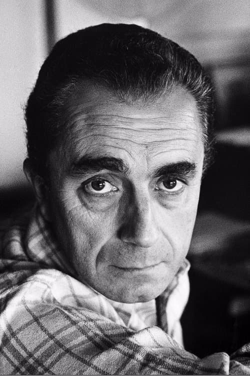 A portrait of Michelangelo Antonioni