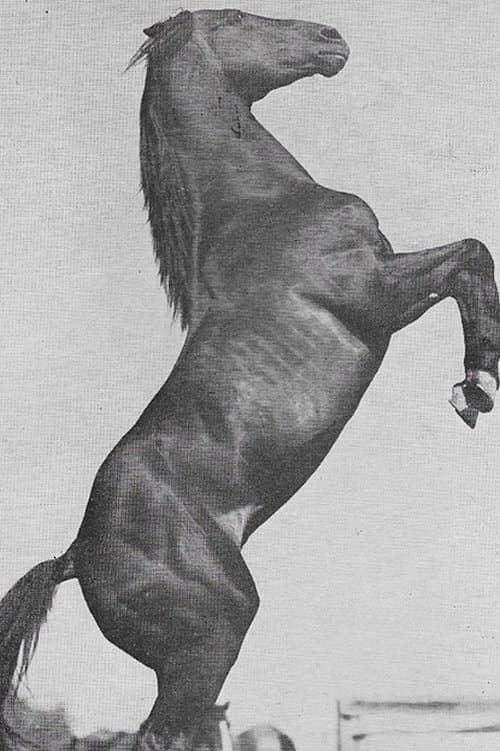 Rex photo