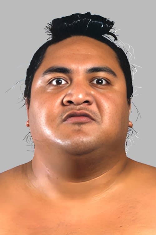 Rodney Anoaʻi photo