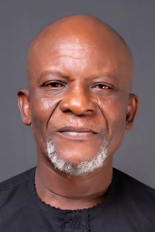 Toyin Oshinaike photo