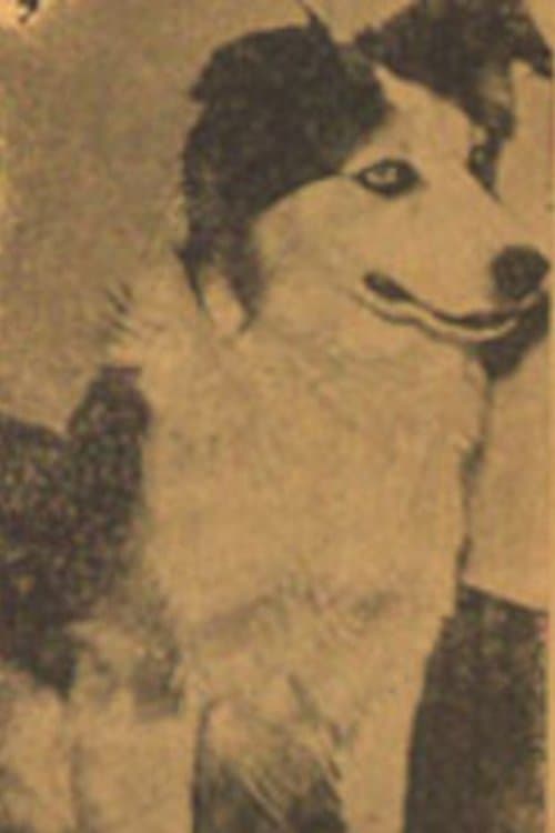 Tuffy photo