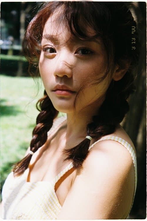 Việt Linh photo